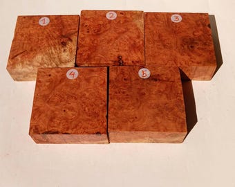 Neem Burl Bowl Turning Blank | Exotic Mimba Burl Wood Block | Rare Timber for Lathe and Woodworking