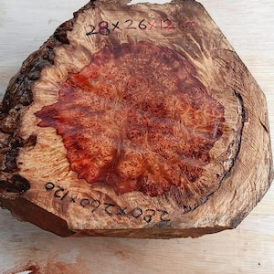 Red Amboyna Burl Cap | Thorny Burl Wood for Bowl Turning and Carving | Exotic Wood Project Block