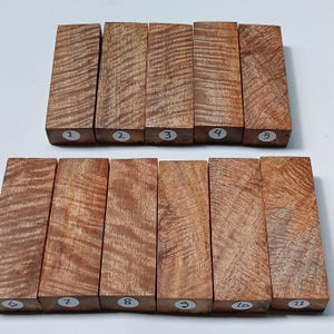 May include: Eleven rectangular wood blocks with a reddish-brown hue and unique grain patterns are arranged in two rows. Each block is numbered with a white sticker. The wood appears to be hardwood, possibly for crafting or woodworking projects.