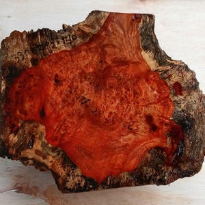 Red Amboyna Burl Bowl Blank | Natural Live Edge Burl Cap Slice | Exotic Wood Turning Block