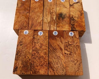Exotic Burl Spalted Cheesewood Block: Wood Turning & Carving Blank
