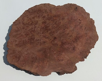 Weru Burl Slice, Exotic Thorn Wood Slab, Live Edge Display Craft Material