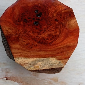 Amboyna Burl Cap Live Edge | Wood Bowl Turning Blank | Exotic Amboyna for Carving and Woodworking