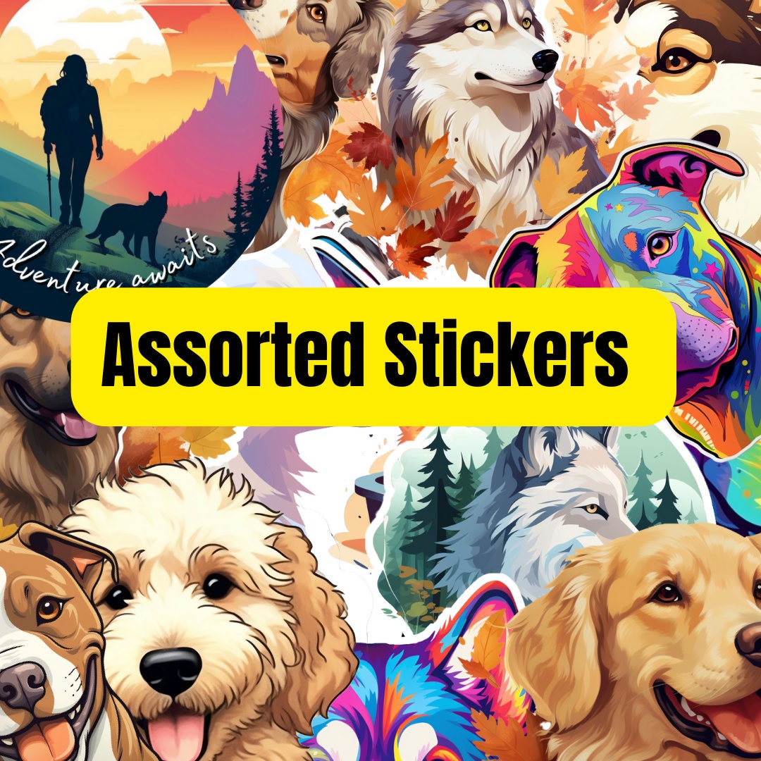 Assorted Vinyl Sticker Variety Pack Misprints and Slight Etsy