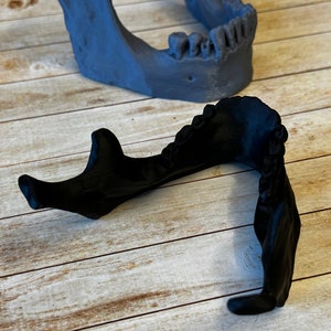Jaw Bone Phone Stand Holder - 3D-geprint uniek bureaudecor en kantooraccessoire