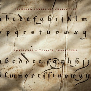 May include: Aged parchment background with two sets of lowercase letters in a gothic font. The top set is labelled "STANDARD LOWERCASE CHARACTERS" and the bottom set is labelled "LOWERCASE ALTERNATE CHARACTERS". The letters are black.