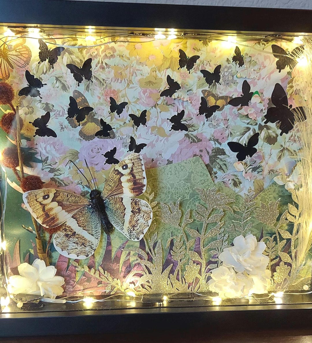 Butterfly Shadowbox - Etsy
