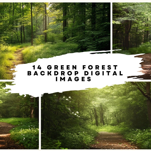 14 Green Summer Forest Backdrop Digital Images at 300DPI (size: 8565 x 4800) for Bridal, Wedding, Family Portrait Background. Path in Woods