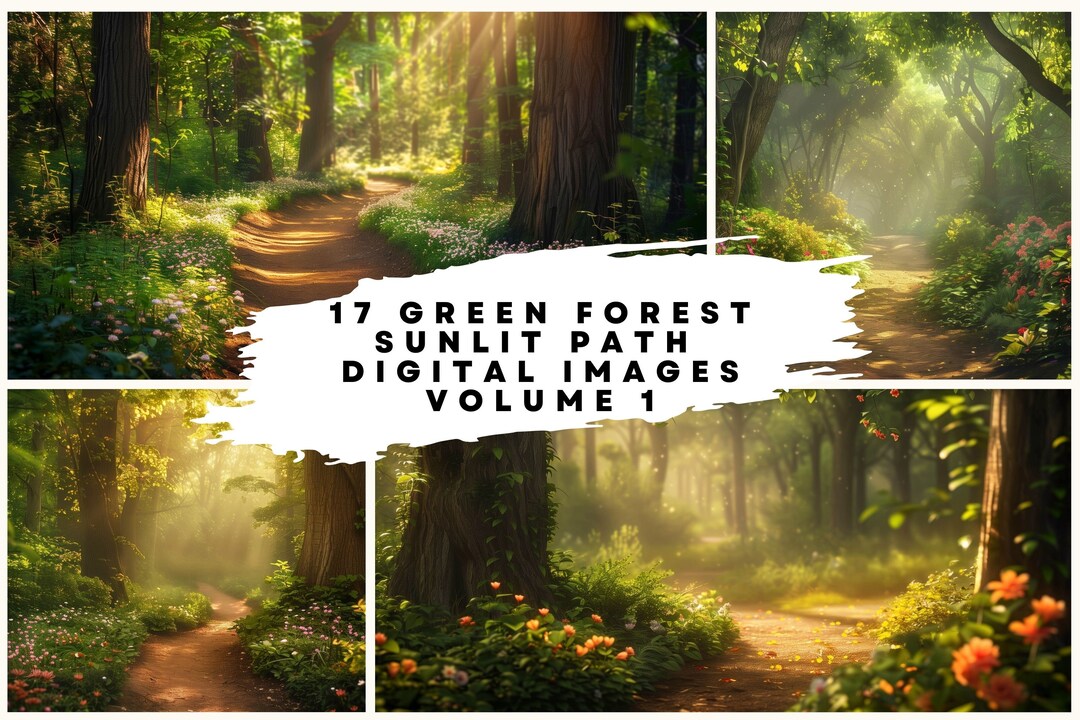 17 Green Summer Forest Sunlit Path Digital Images at 300DPI (8565 X ...