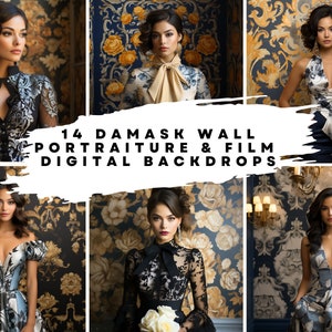 14 Damask Wall Portraiture Digital Backgrounds for Dance, Bridal, Wedding, Maternity, Fine Art, Portrait Photography Overlays