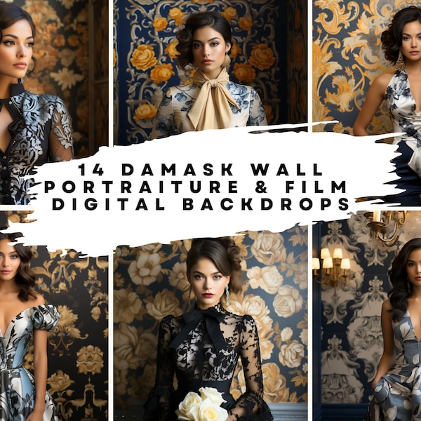14 Damask Wall Portraiture Digital Backgrounds for Dance, Bridal, Wedding, Maternity, Fine Art, Portrait Photography Overlays