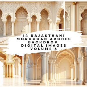 14 Moroccan Rajasthani Arches Volume 6 Backdrop Digital Images at 300dpi (8565 x 4800) for Wedding, Bridal, Indian Wedding, Jaipur, Mughal