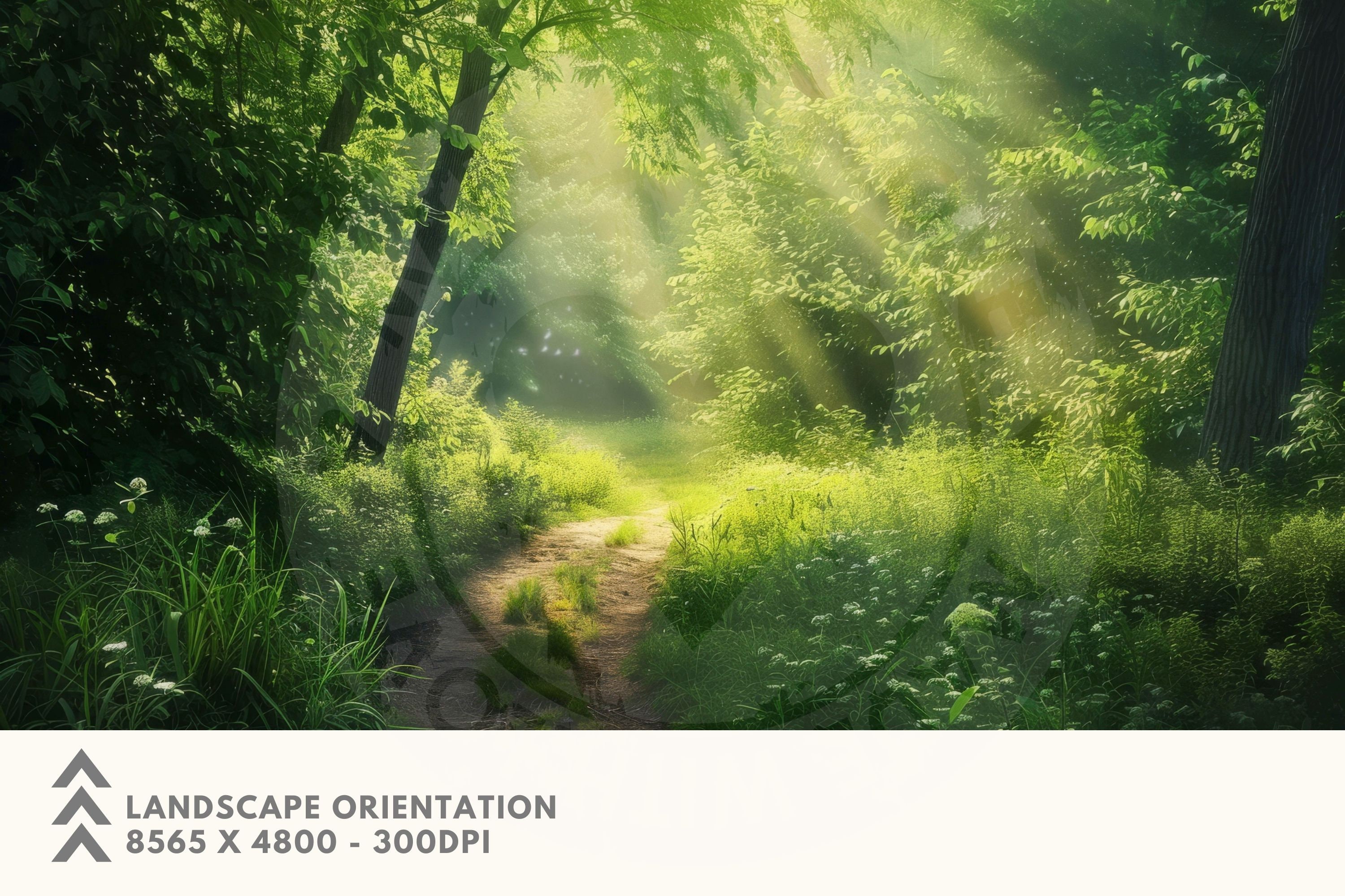 14 Green Summer Forest Backdrop Volume 2 Digital Images at 300DPI 8565 ...