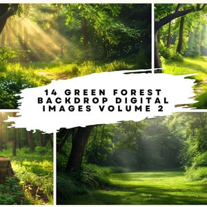 Puede incluir: Un collage de 14 imágenes digitales que muestran escenas de exuberantes bosques verdes con rayos de sol que brillan a través de los árboles. Las imágenes son perfectas para usar como fondos o fondos.