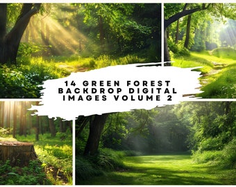 14 Green Summer Forest Backdrop Volume 2 Digital Images at 300DPI (8565 x 4800) for Wedding, Family Portrait Background. Path in Woods