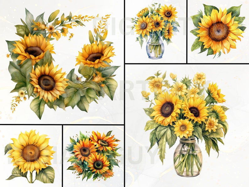 K&ouml;nnte beinhalten: Eine Sammlung von Aquarellmalereien mit Sonnenblumen in verschiedenen Arrangements. Einige Sonnenblumen stehen in Vasen, andere in Kr&auml;nzen oder Str&auml;u&szlig;en. Die Bilder sind alle auf wei&szlig;em Hintergrund.