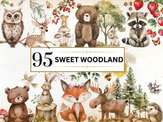 Woodland Clipart Watercolor Woodland Animals Clipart Cute Woodland Animals PNG Nursery Animals Baby Shower Forest Animals Commercial Use Art
