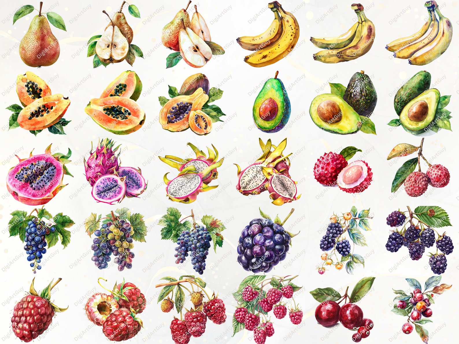 Summer Clipart Watercolor Summer PNG Fruit Clipart Summer Fruit PNG ...