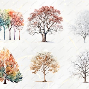 Bomen clipart bundel-60 aquarel winter clipart PNGs, winter PNG, aquarel bomen clipart, winter bomen PNG, Pine Tree clipart, sneeuw PNG afbeelding 6