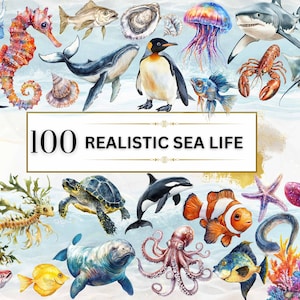 Aquarel zee dier clipart realistische zeedieren PNG onder de zee PNG Oceaan dieren clipart onderwater dieren zeeleven digitale kunst