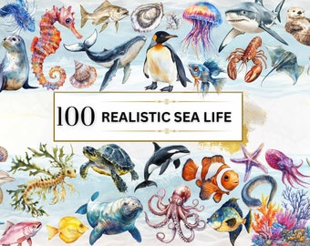 Puede incluir: Ilustración en acuarela con una variedad de criaturas marinas, incluyendo un caballito de mar, un tiburón y un pulpo. La imagen incluye el texto "100 Realistic Sea Life" en un rectángulo con borde dorado. El fondo es un lavado en azul claro y dorado.