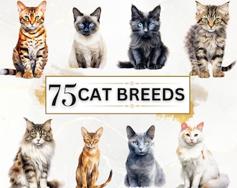 Cat Breeds PNG Bundle - 75 Cats Clipart PNGs, Cats Clipart, Animals Clipart, Watercolor Cats, Watercolor Animals, Digital Download