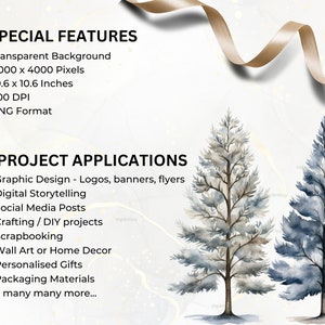 Bomen clipart bundel-60 aquarel winter clipart PNGs, winter PNG, aquarel bomen clipart, winter bomen PNG, Pine Tree clipart, sneeuw PNG afbeelding 2