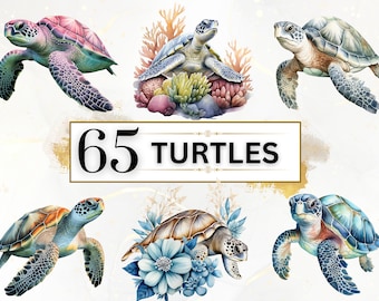 Sea Turtle Clipart - 65 Watercolor Sea Animal Sea Turtle PNGs, Under The Sea PNG, Cute Turtle PNG, Cute Sea Animals Clipart, Sea Creatures