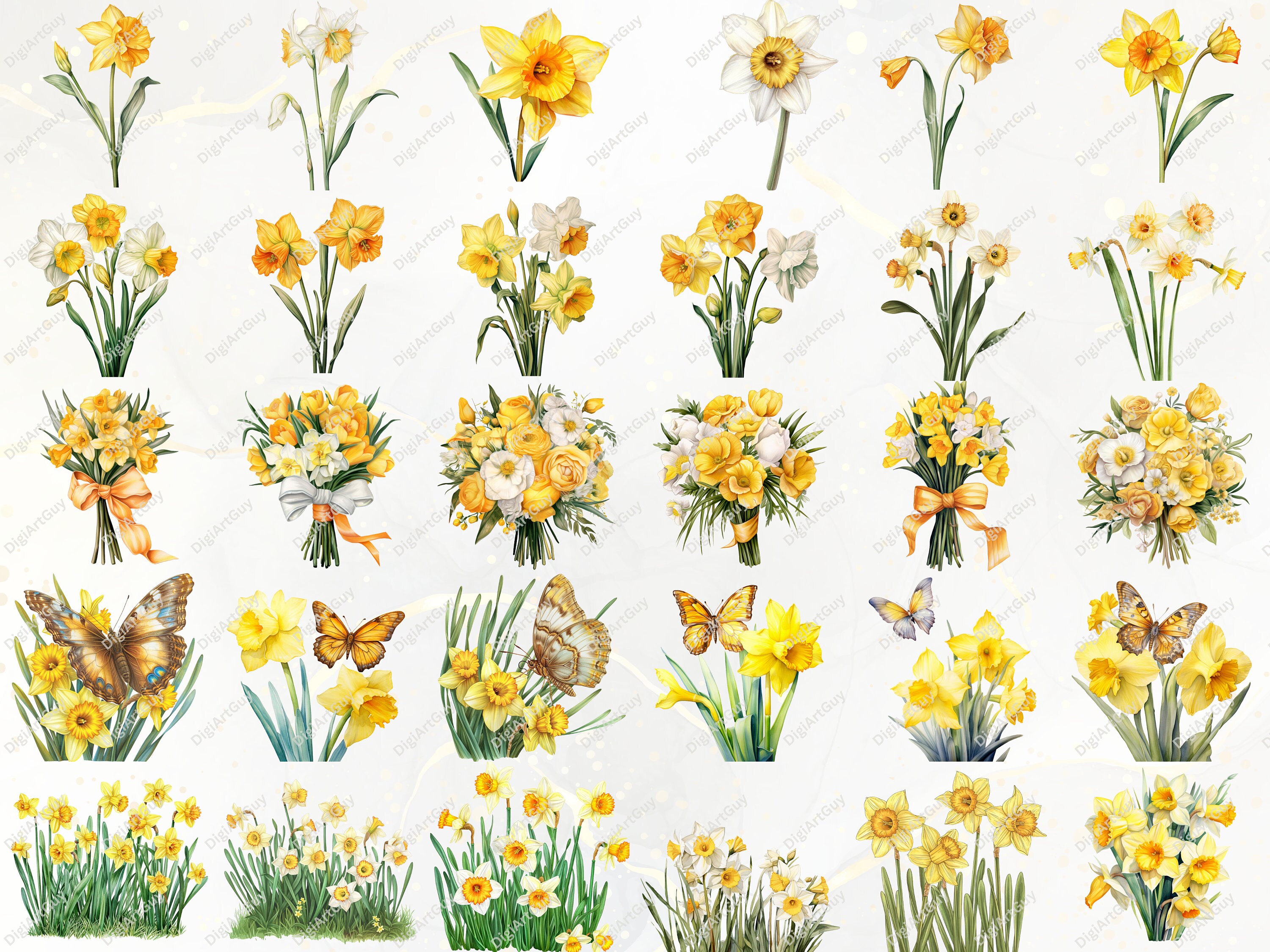 Flower Clipart Watercolor Daffodil Clipart Spring PNG Floral Clipart ...