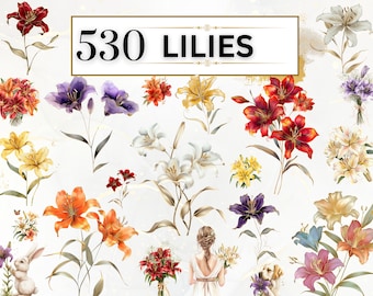May include: An illustration featuring a variety of lilies in shades of red, orange, yellow, purple, and white. The image includes the text "530 LILIES" in a rectangular frame. The flowers are arranged in bouquets and individual stems.