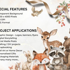 Description of special features of the images: transparent background, 4k pixels square, 10.6 x 10.6 inches. 300 DPI and PNG format.Project applications include graphic design, crafting, scrapbooking,personalised gifts and many more