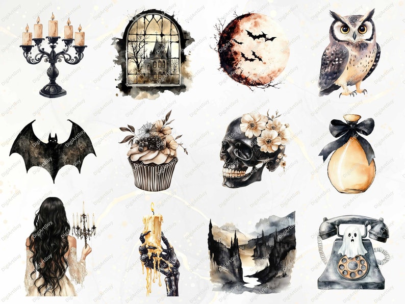 12 images from the bundle