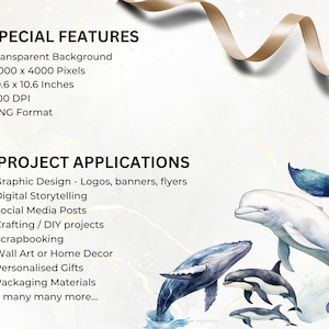 May include: A digital illustration of a whale, a dolphin, and two smaller dolphins, all swimming in a watercolor-style ocean. The image has a transparent background and is 4000 x 4000 pixels, making it suitable for a variety of projects, including graphic design, social media posts, and crafting.
