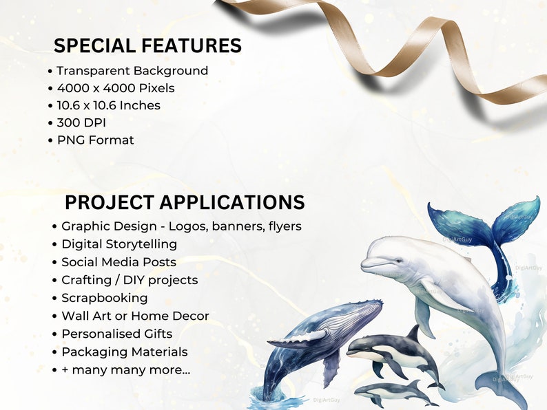 May include: A digital illustration of a whale, a dolphin, and two smaller dolphins, all swimming in a watercolor-style ocean. The image has a transparent background and is 4000 x 4000 pixels, making it suitable for a variety of projects, including graphic design, social media posts, and crafting.