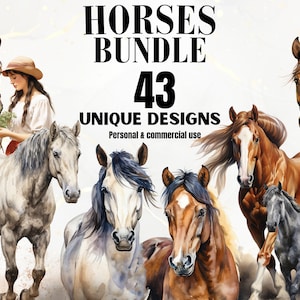 Horse Clipart Watercolor Horse PNG Watercolor Animal Nursery Clipart Decor Horse Riding Horse Lover White Brown Black Horse