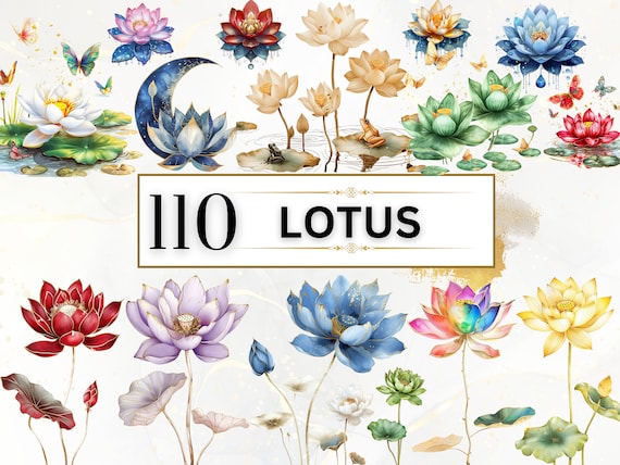 Lotus Clipart Watercolor Flower Clipart Spring PNG Floral Clipart Spring Flower PNG  Lotus Flower Clipart Digital Flowers | Commercial Use
