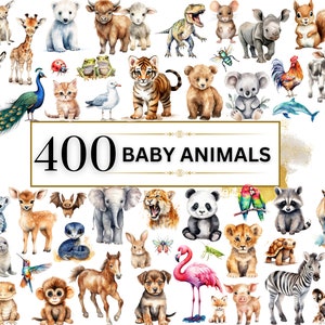 サファリ動物のクリップアート - 400 種類の赤ちゃん動物 PNG、サファリ動物 PNG、森の動物、かわいい赤ちゃん動物、鳥、海中、子供部屋の装飾アート