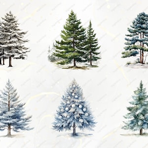 Bomen clipart bundel-60 aquarel winter clipart PNGs, winter PNG, aquarel bomen clipart, winter bomen PNG, Pine Tree clipart, sneeuw PNG afbeelding 4