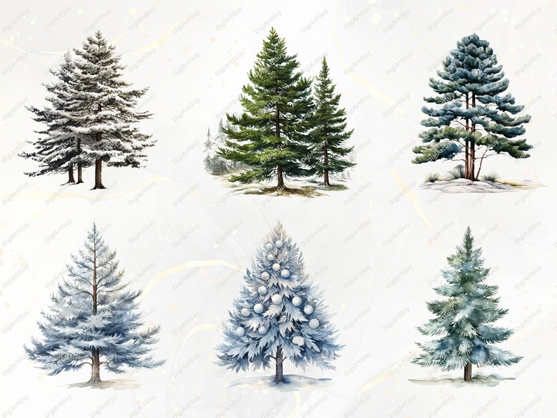 Bomen clipart bundel-60 aquarel winter clipart PNGs, winter PNG, aquarel bomen clipart, winter bomen PNG, Pine Tree clipart, sneeuw PNG afbeelding 4