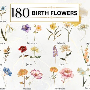 Geburtsblume Clipart Geburtsmonat Blume PNG Blumen Clipart Frühling PNG Botanische Clipart Geburtstag PNG Aquarell Blumen | Kommerzielle Nutzung