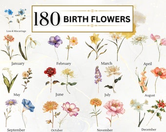 Birth Flower Clipart Birth Month Flower PNG Floral Clipart Spring PNG Botanical Clipart Birthday PNG Watercolor Flowers | Commercial Use