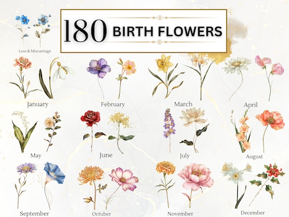Birth Flower Clipart Birth Month Flower PNG Floral Clipart Spring PNG Botanical Clipart Birthday PNG Watercolor Flowers | Commercial Use