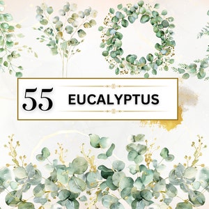 Groen clipart aquarel eucalyptus clipart eucalyptus PNG botanische clipart groene bladeren clipart gebladerte clipart bundel | Commercieel gebruik