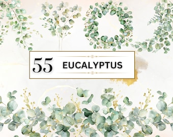 Greenery Clipart Watercolor Eucalyptus Clipart Eucalyptus PNG Botanical Clipart Green Leaves Clipart Foliage Clipart Bundle | Commercial Use