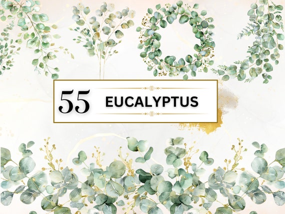 Greenery Clipart Watercolor Eucalyptus Clipart Eucalyptus PNG Botanical Clipart Green Leaves Clipart Foliage Clipart Bundle | Commercial Use