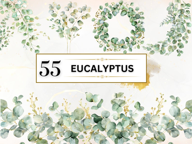 The image shows Watercolor Eucalyptus  Clipart Bundle featuring 55 designs including borders, frames, bouquet, foliage and  more.