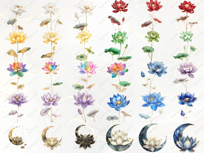30 images from the bundle shown