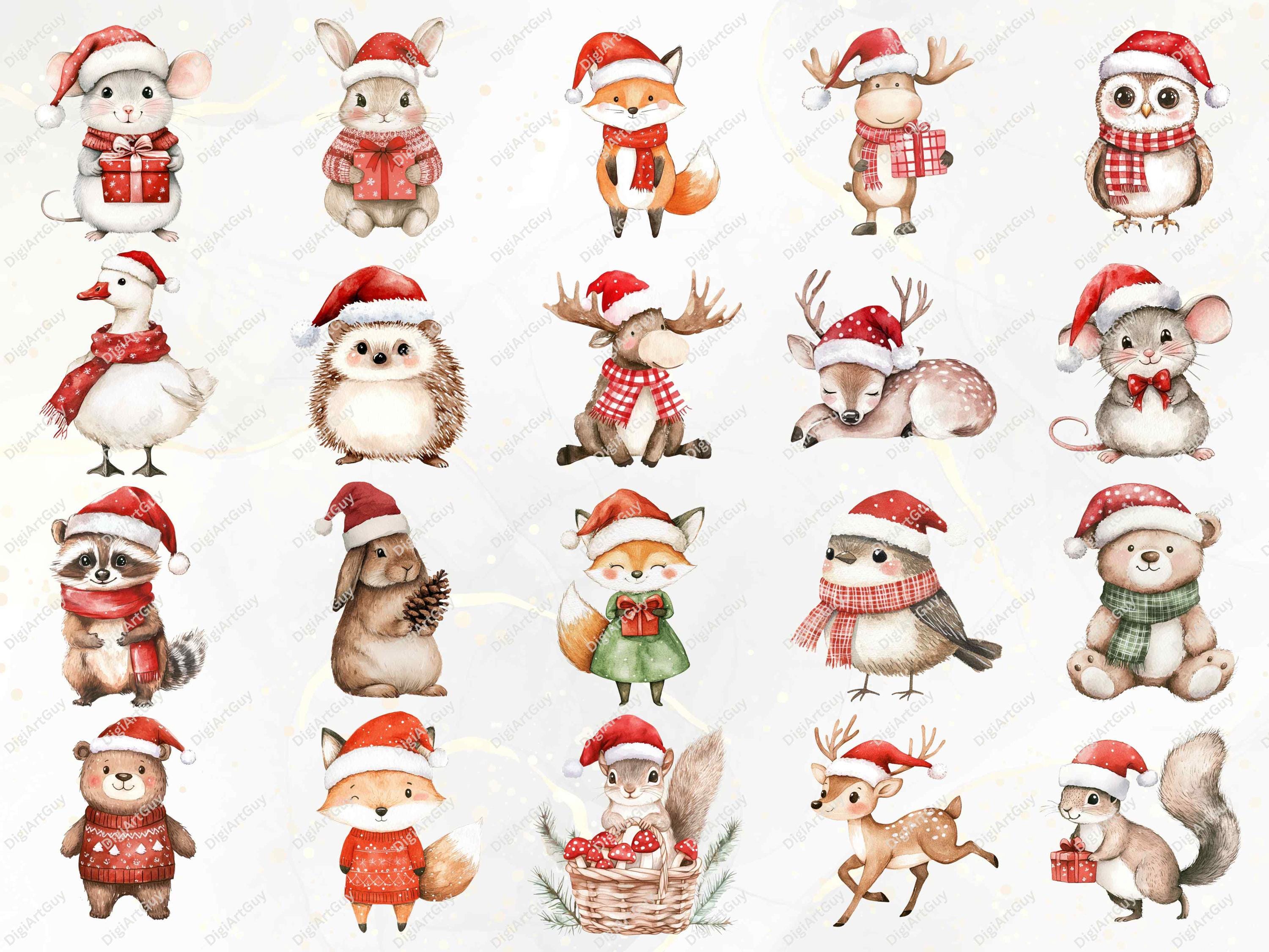 Watercolor Woodland Animal Clipart Cute Winter Woodland Animals PNG ...