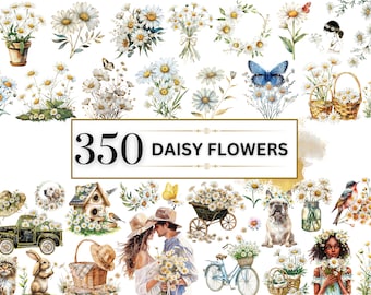 Daisy Clipart acquerello primavera Clipart fiore Clipart fiore selvatico PNG Clipart floreale Daisy PNG fiore mazzi Clipart / uso commerciale