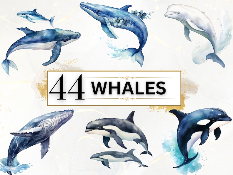 May include: A set of 44 watercolor illustrations of whales, dolphins, and orcas. The illustrations are in shades of blue, white, and black, and some feature floral details. The text "44 WHALES" is displayed in a gold frame.